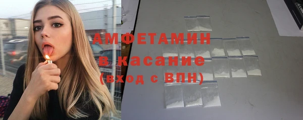 индика Балахна