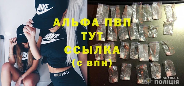 индика Балахна