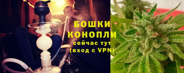 индика Балахна