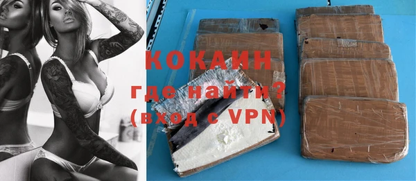 индика Балахна